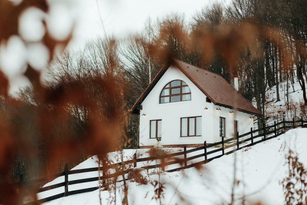 Casuta Boema Villa Râşnov Exterior photo